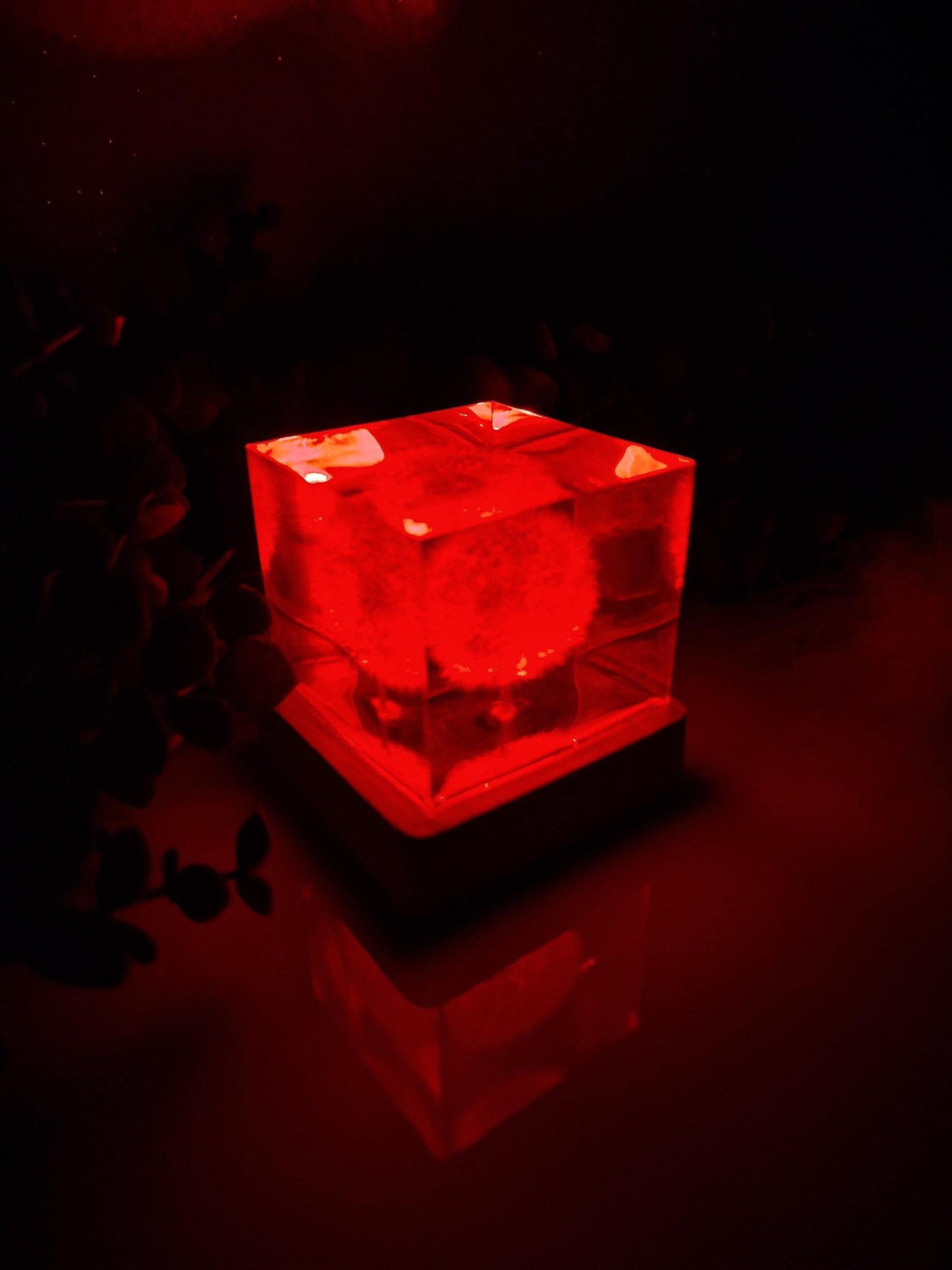 Lampe aus Epoxidharz mit echter Pusteblume – RGB Nachtlicht