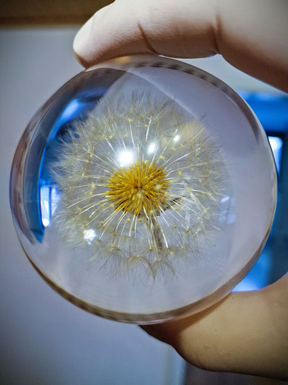 Epoxidharz Lampe mit echter Pusteblume – handgegossen mit Holzsockel