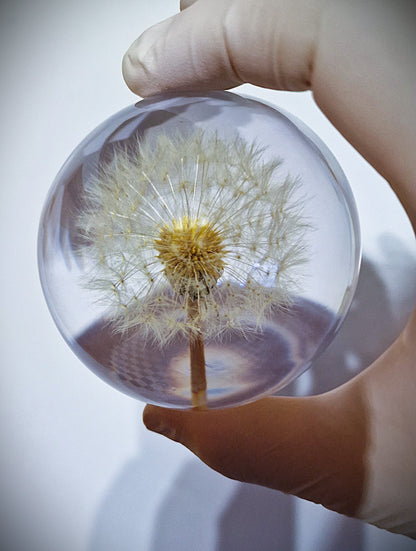 Epoxidharz Lampe mit echter Pusteblume – handgegossen mit Holzsockel