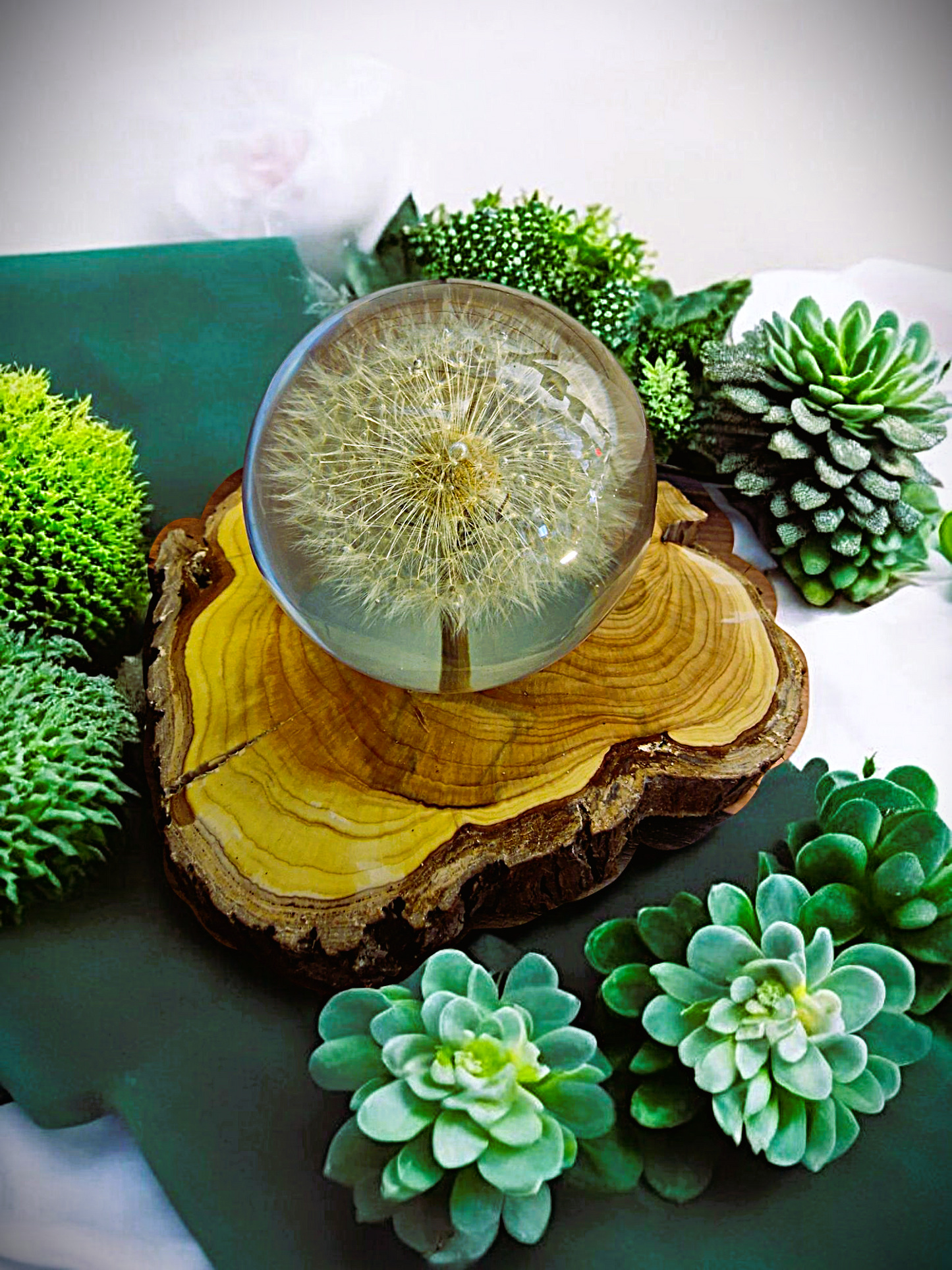 Epoxidharz Lampe mit echter Pusteblume – handgegossen mit Holzsockel