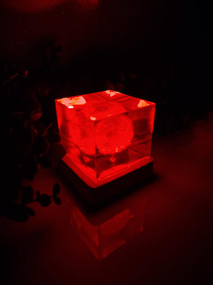 Epoxy resin lamp with real dandelion – RGB night light