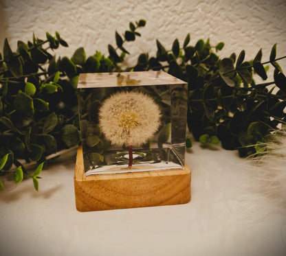 Epoxy resin lamp with real dandelion – RGB night light