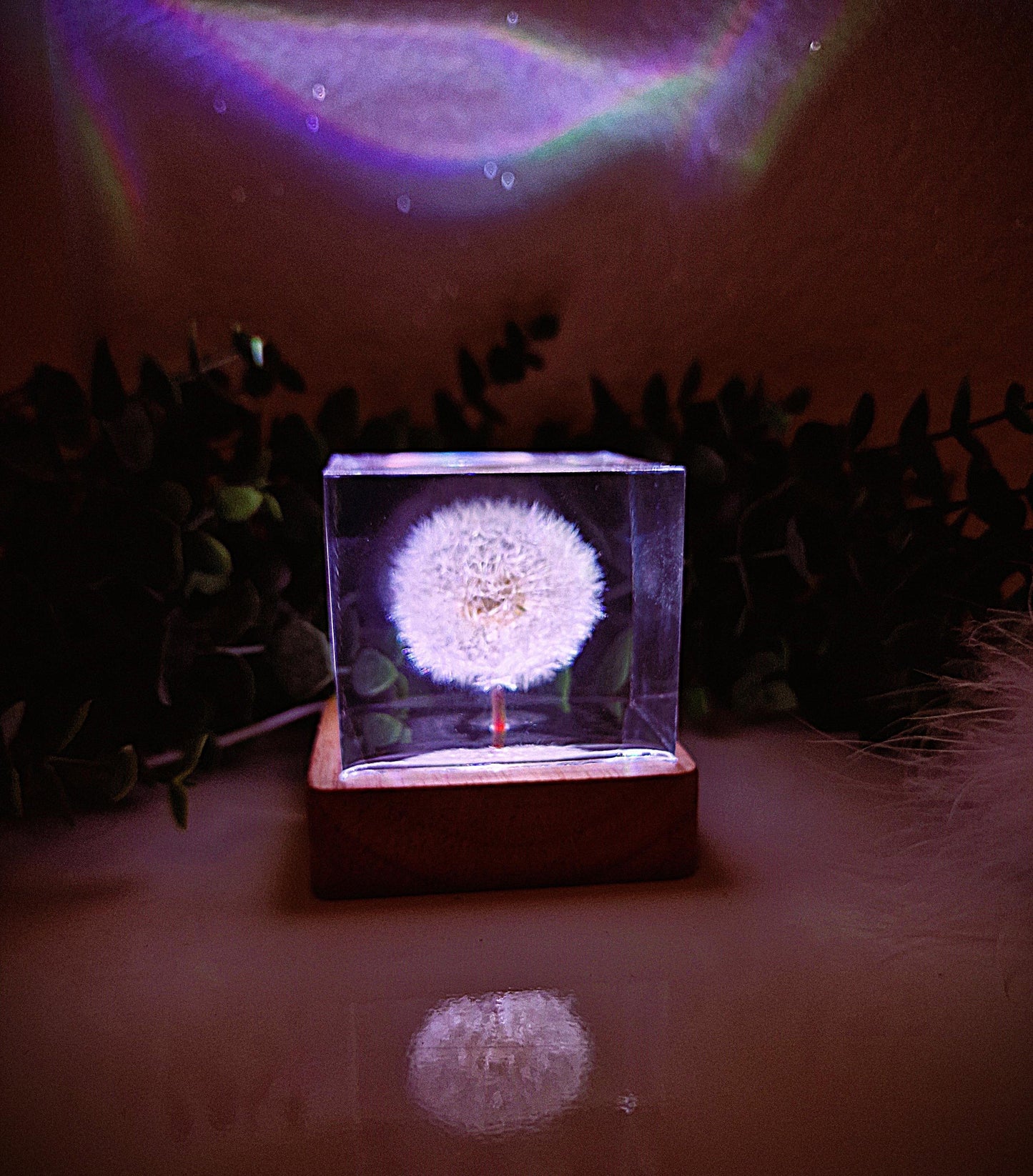 Epoxy resin lamp with real dandelion – RGB night light