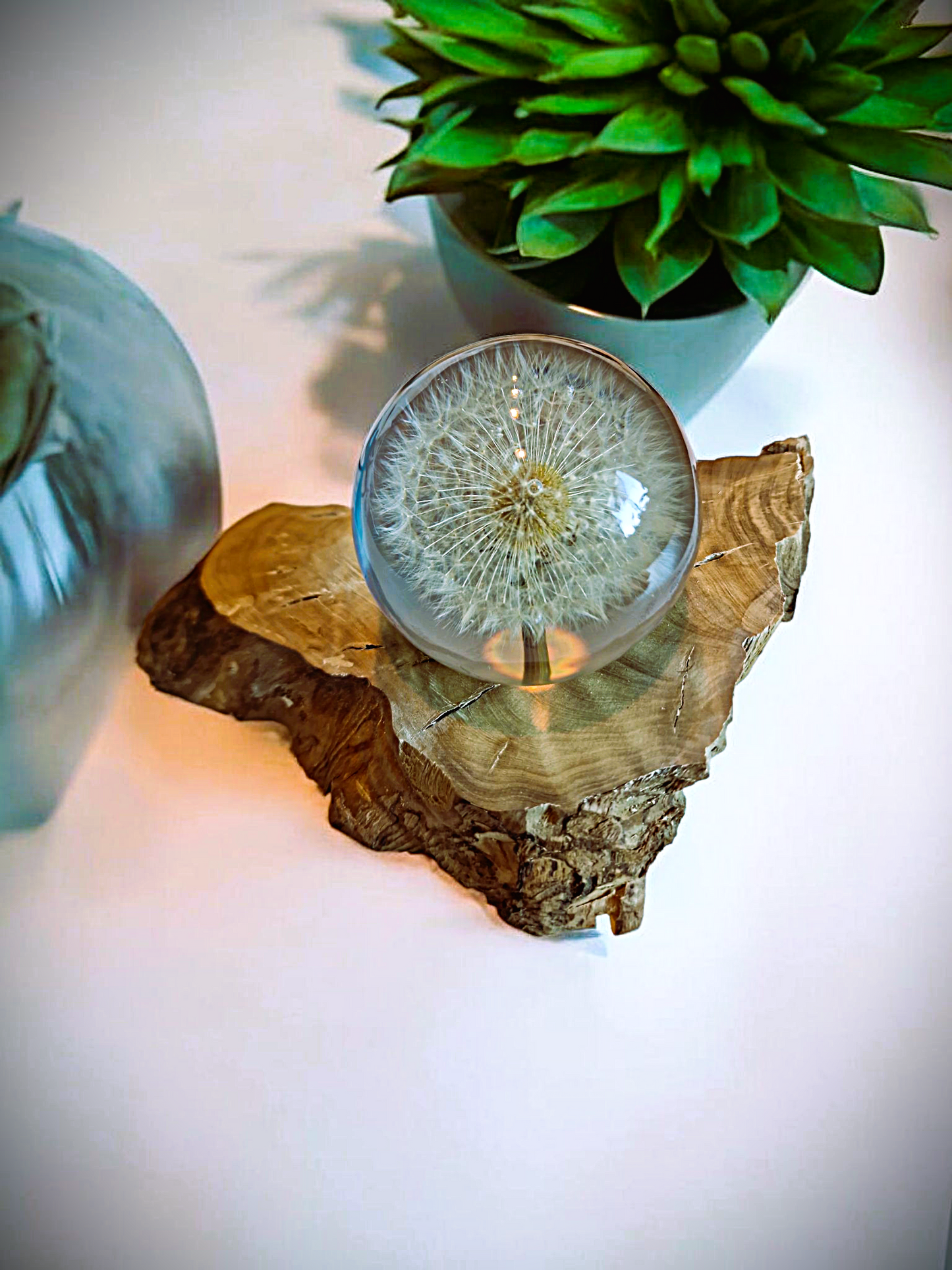 Epoxidharz Lampe mit echter Pusteblume – handgegossen mit Holzsockel