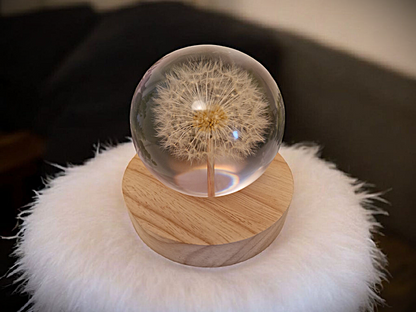 Epoxidharz Lampe mit echter Pusteblume – handgegossen mit Holzsockel